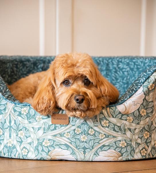 William Morris Pimpernel & Lily Leaf Oval Bed
