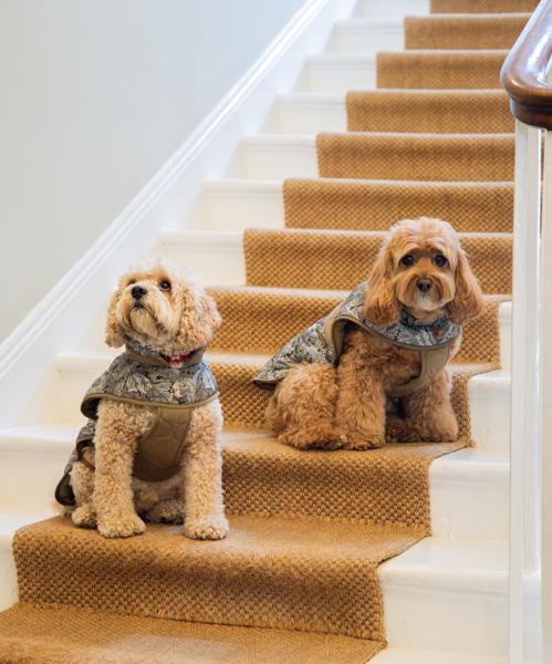 William Morris Acanthus Print Padded Dog Coat