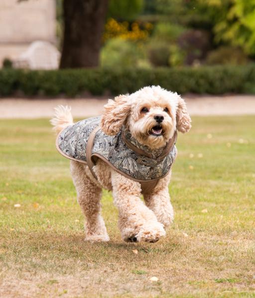 William Morris Acanthus Print Padded Dog Coat