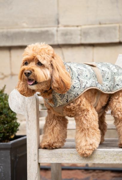 William Morris Acanthus Print Padded Dog Coat