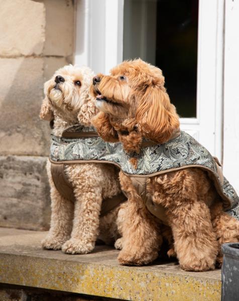 William Morris Acanthus Print Padded Dog Coat