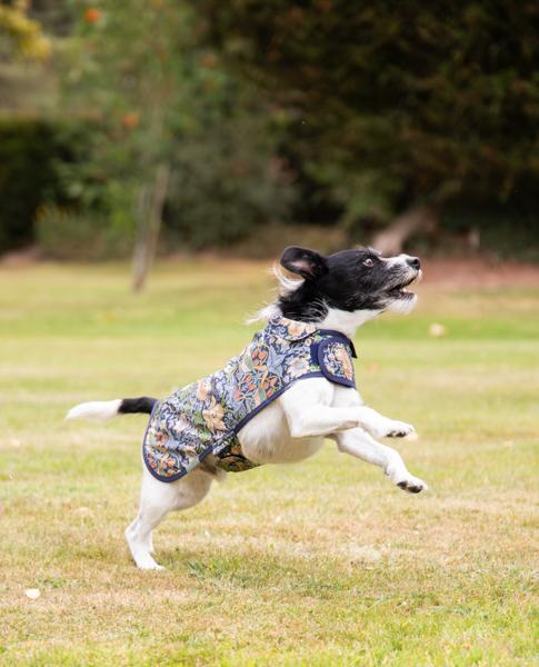 William Morris Strawberry Thief Reversible Dog Coat