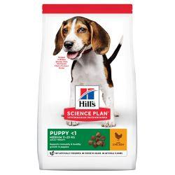 HILL'S SCIENCE PLAN Puppy Medium Dry Dog Food Chicken 2.5kg