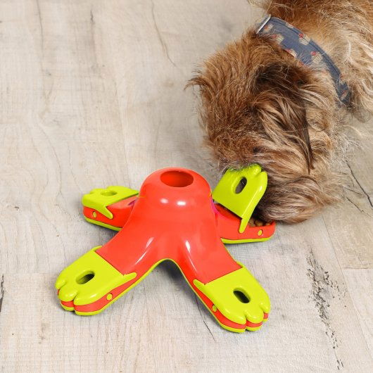 iQuties Active Training Kibble Drop