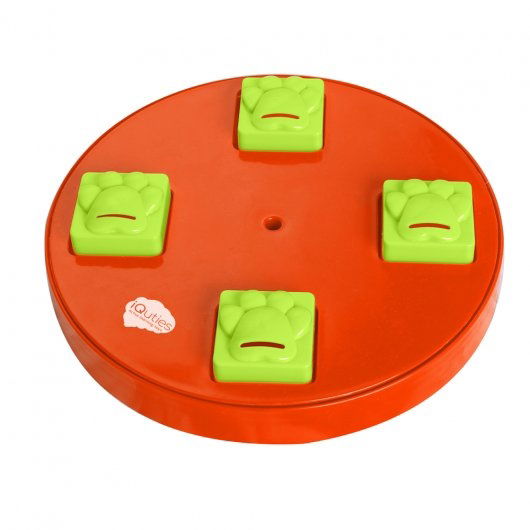 iQuties Active Training Puzzle Wheel