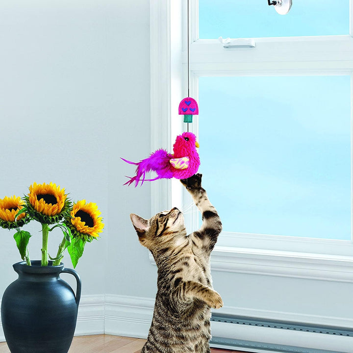 KONG Kitty Window Teaser