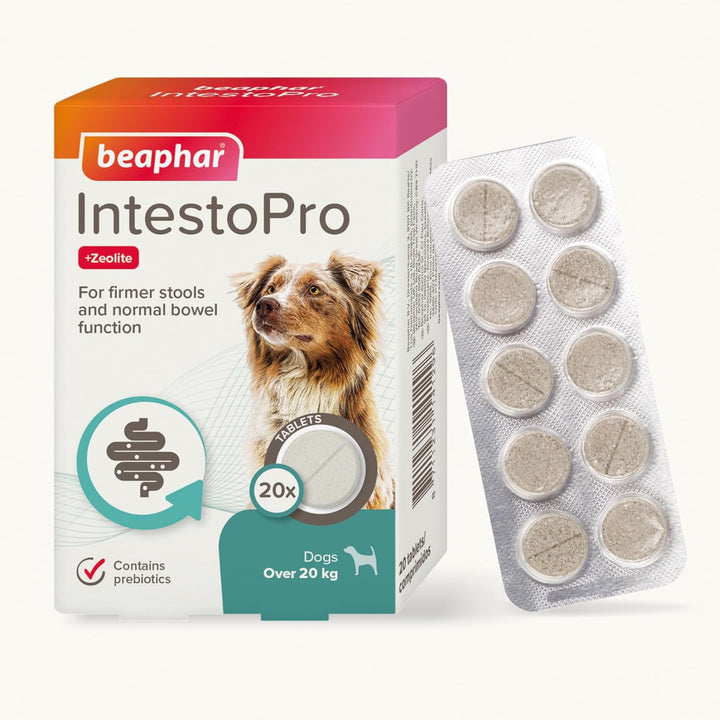 Beaphar Intestopro Prebiotic Stool Firming Tablets For Medium & Large Dogs (Over 20Kg) - 20 Tabs