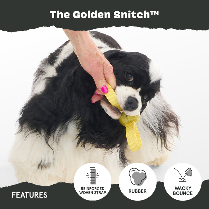 Bark Harry Potter The Golden Snitch