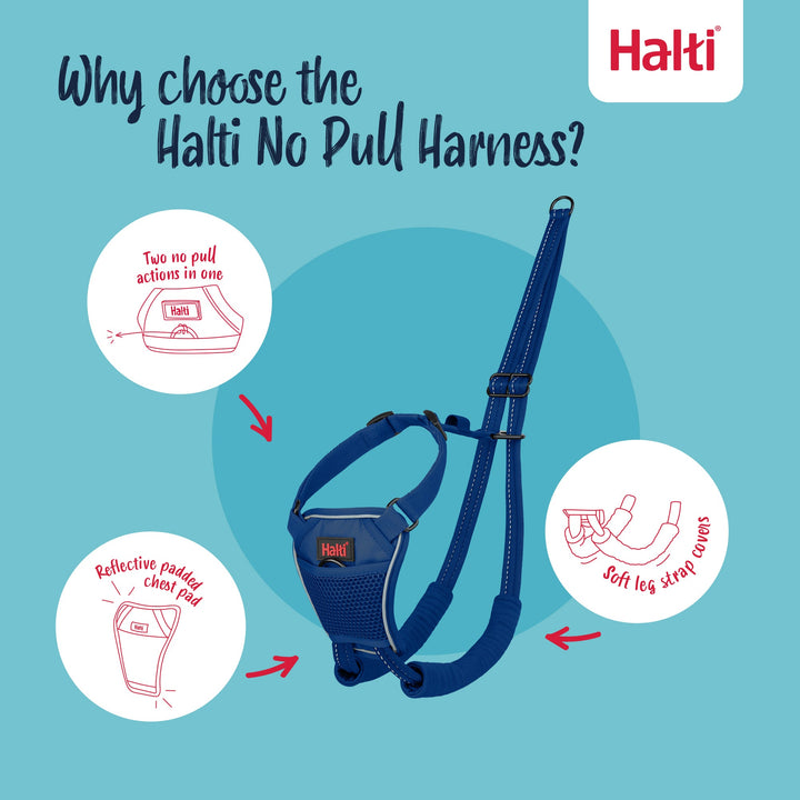 Company Of Animals Halti No Pull Harness Green