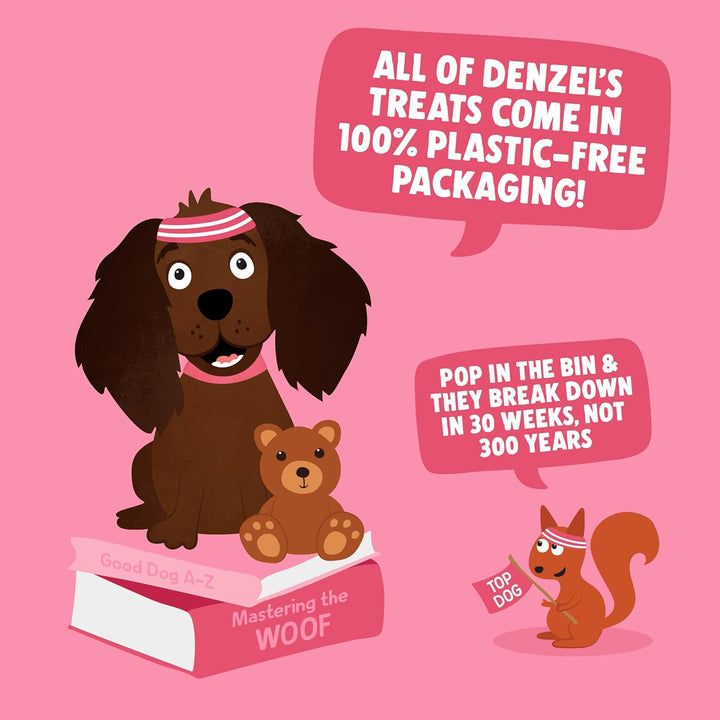 Denzels Puppy Training Bites Salmon & Peanut Butter 100G