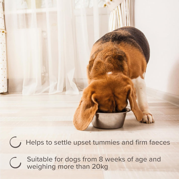 Beaphar Intestopro Prebiotic Stool Firming Tablets For Medium & Large Dogs (Over 20Kg) - 20 Tabs