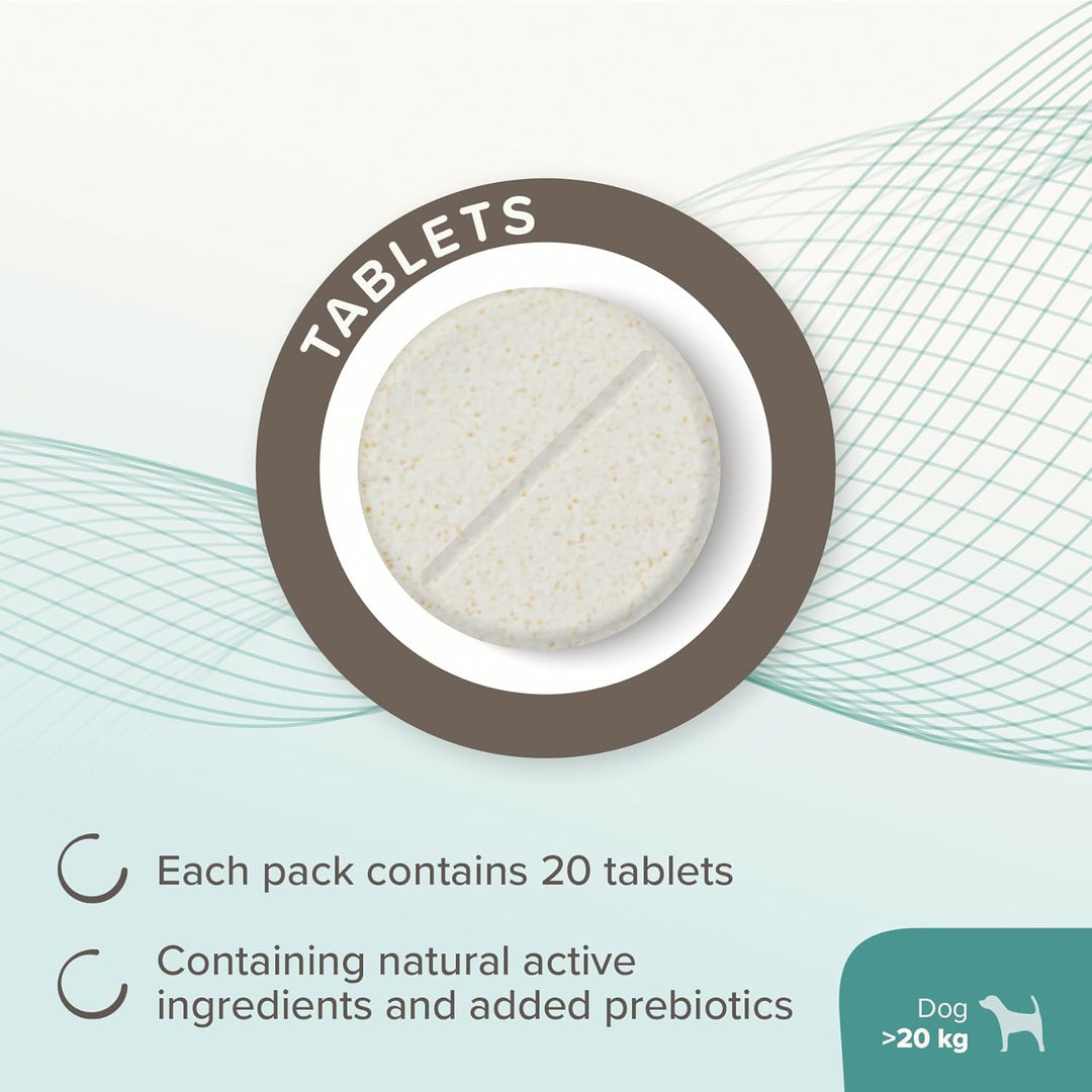 Beaphar Intestopro Prebiotic Stool Firming Tablets For Medium & Large Dogs (Over 20Kg) - 20 Tabs