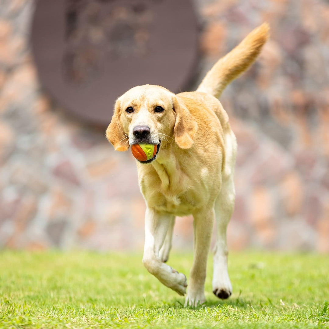 Skipdawg XFoam Ball