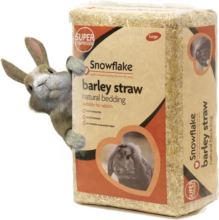 Snowflake Barley Straw