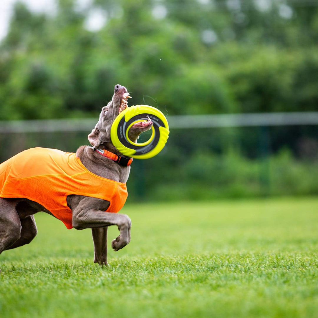 Skipdawg Original Duroflex Disc