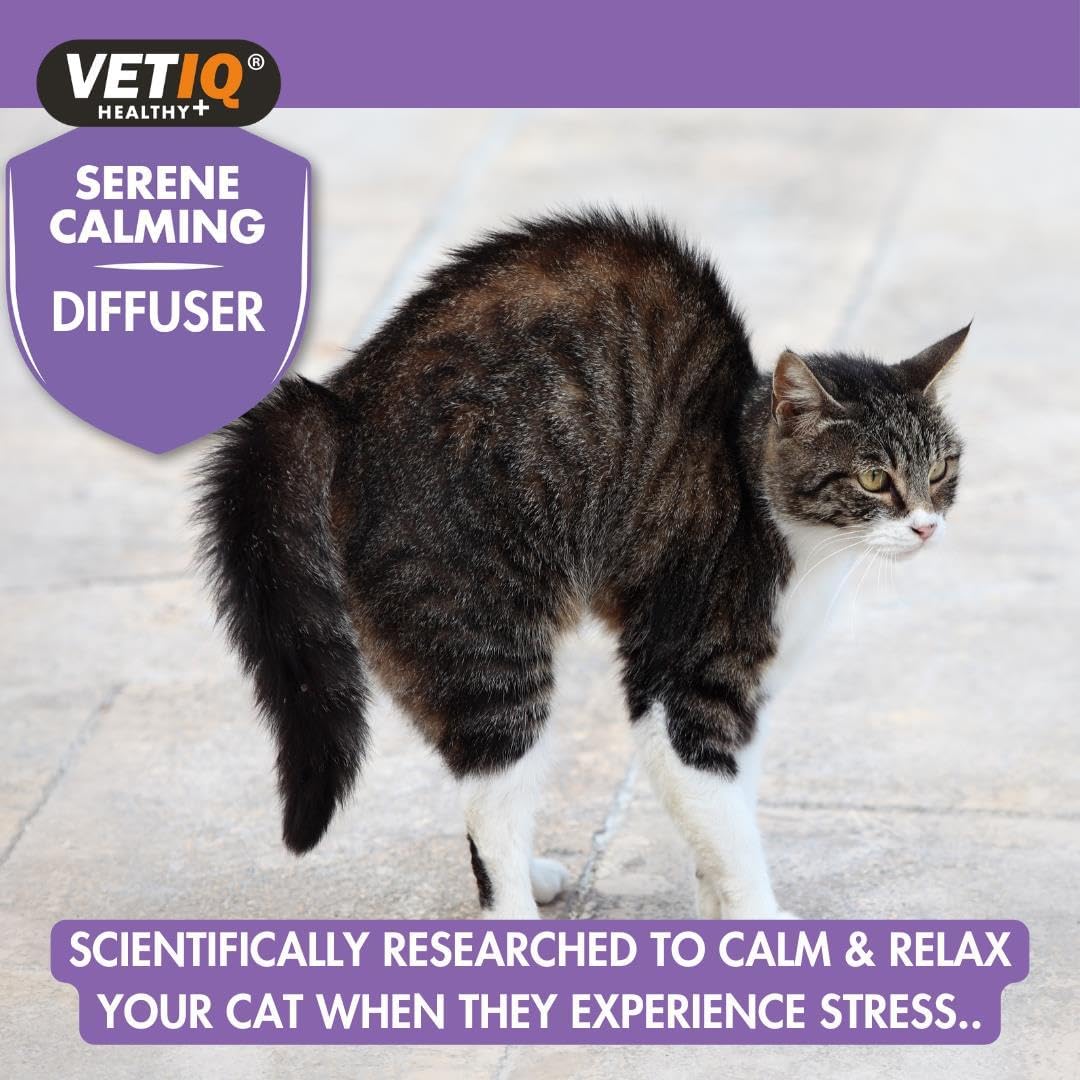 Vetiq Healthy + Serene Calming Diffuser Refill 30 Day