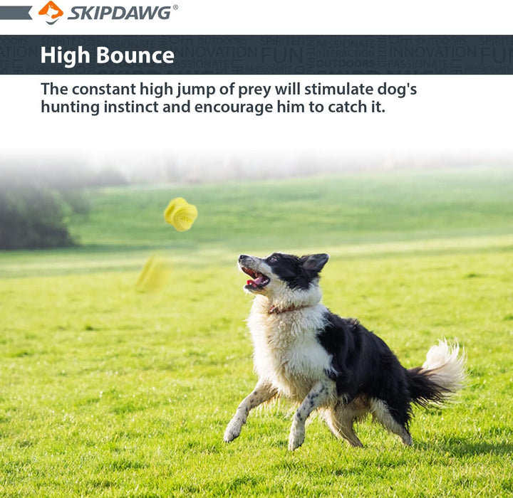 Skipdawg Agility Ball 2pk