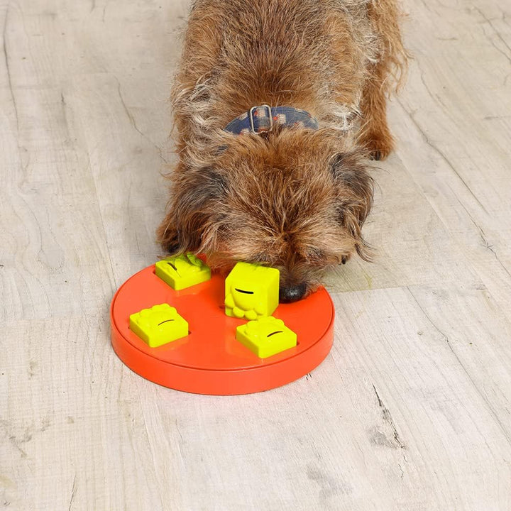 iQuties Active Training Puzzle Wheel