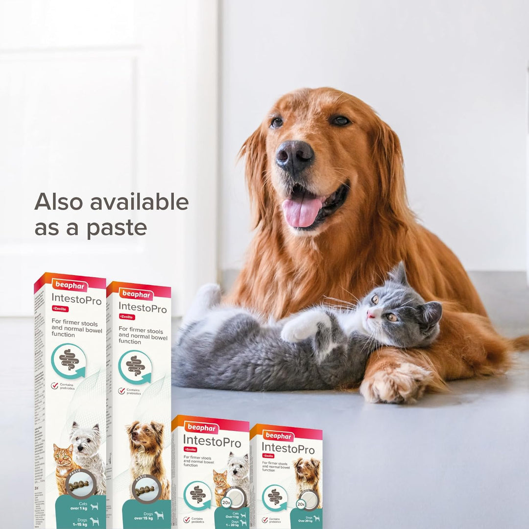 Beaphar Intestopro Prebiotic Stool Firming Tablets For Medium & Large Dogs (Over 20Kg) - 20 Tabs