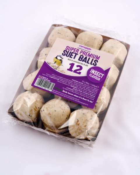 Suet To Go Balls Insect Tray 12 x 85g