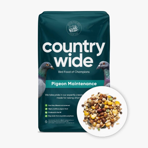 Countrywide Pigeon Maintenance Mix 20kg
