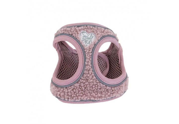 Ancol Small Bite Teddy Bear Harness Rose