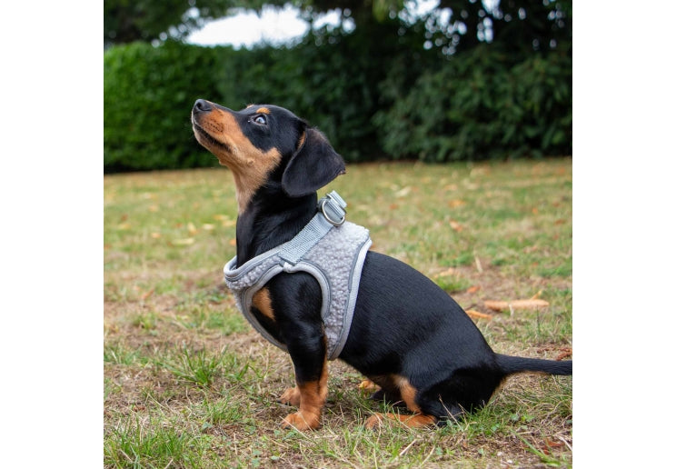 Ancol Small Bite Teddy Bear Harness Pebble