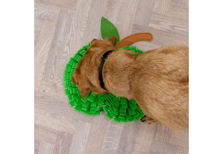 Ancol Orva Snuffle Apple