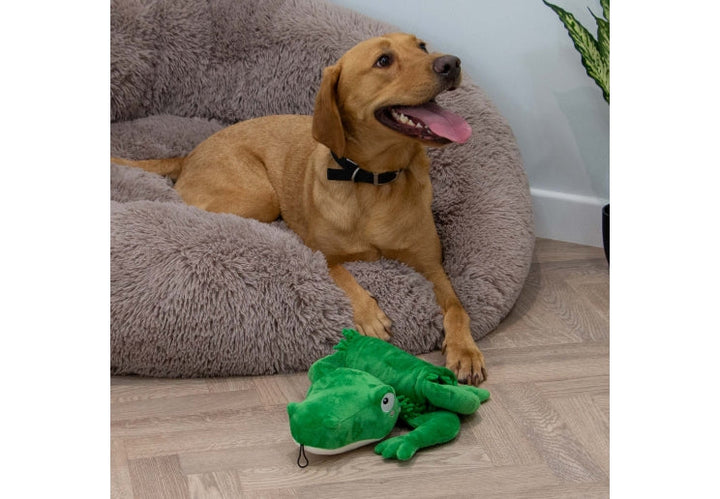 Ancol Orva Snuffle Croc