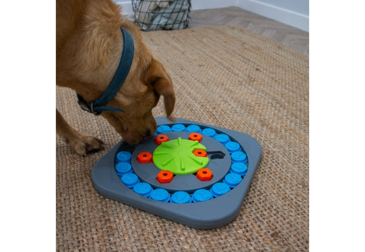 Ancol Orva Puzzle Wheel