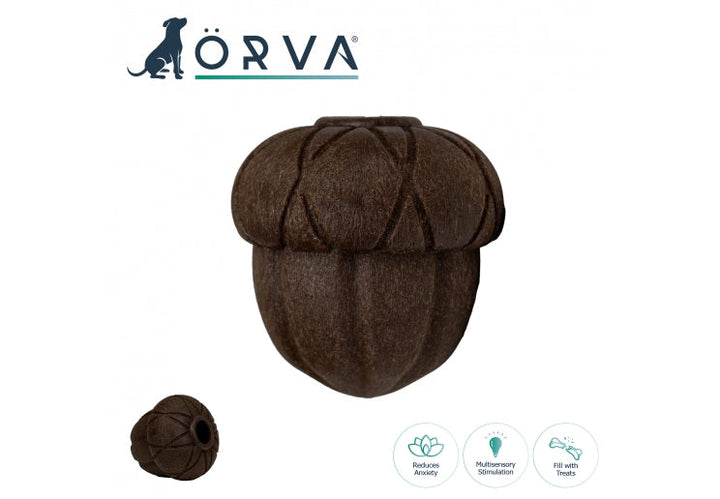 Ancol Orva Acorn