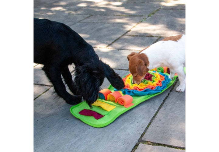 Ancol Orva Snuffle Strip