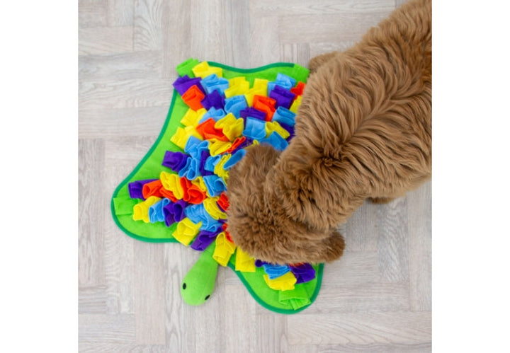 Ancol Orva Snuffle Turtle