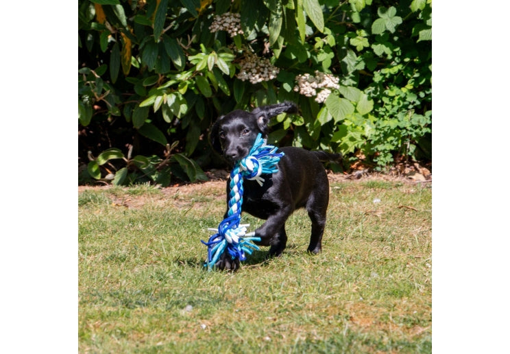 Ancol Playtime Multi-Coloured Rope