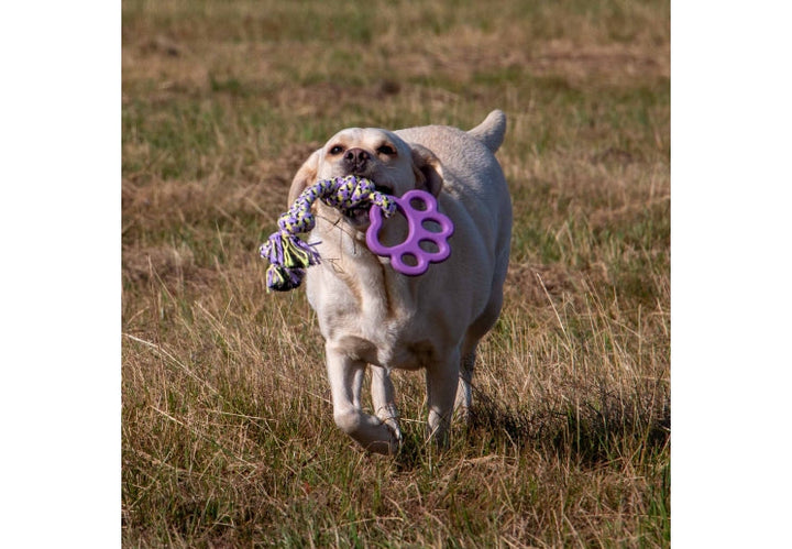 Ancol Playtime Ropey Paw