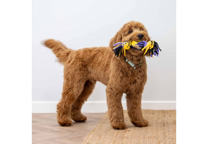 Ancol Playtime Squeak T-Shirt Rope Tug