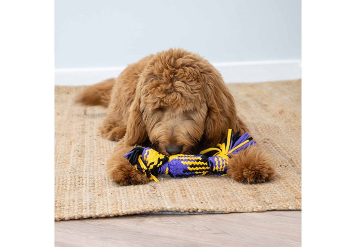 Ancol Playtime Squeak T-Shirt Rope Tug