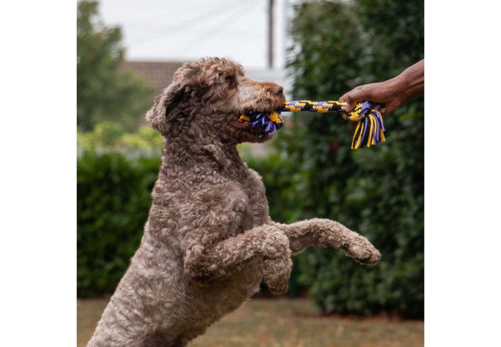 Ancol Playtime Tricolored T-Shirt Rope Tug
