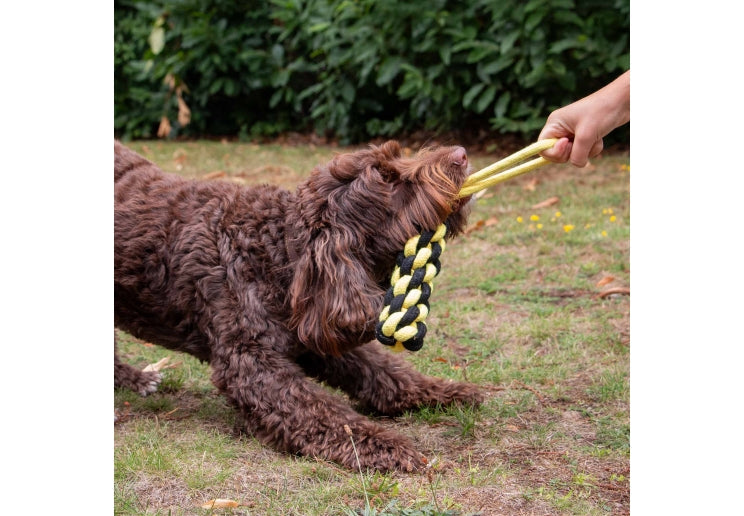 Ancol Playtime Bumble Bee Ropey Plait