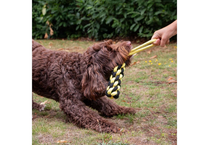 Ancol Playtime Bumble Bee Ropey Plait