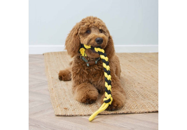Ancol Playtime Bumble Bee Ropey Twist