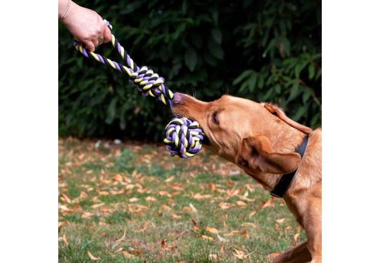 Ancol Playtime Tricoloured Jumbo Rope Ball Tug