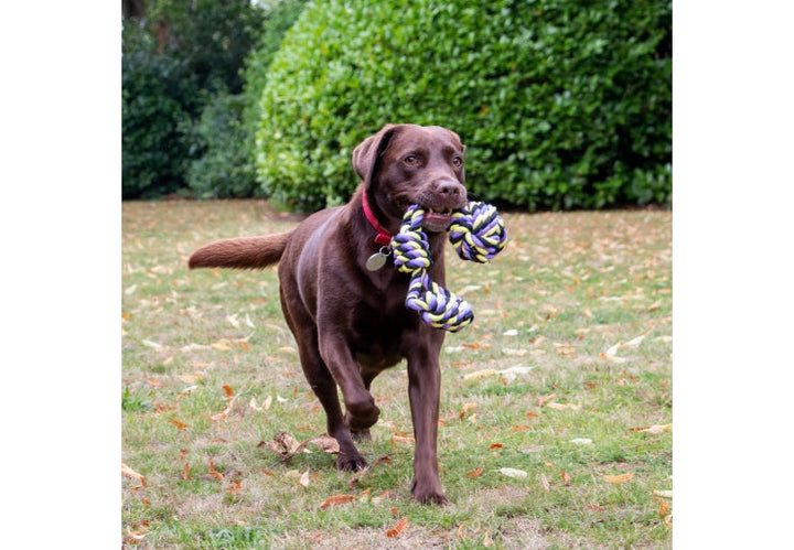 Ancol Playtime Tricoloured Jumbo Rope Ball Tug