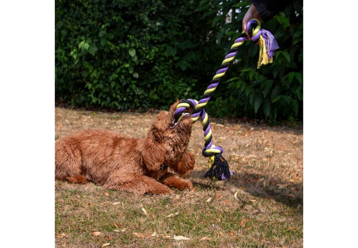 Ancol Playtime Tricoloured Jumbo Rope