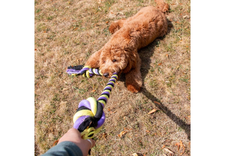 Ancol Playtime Tricoloured Jumbo Rope