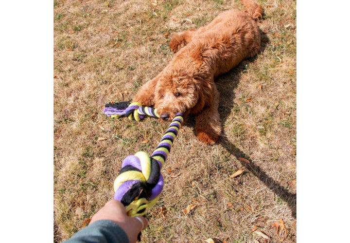 Ancol Playtime Tricoloured Jumbo Rope