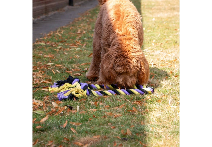 Ancol Playtime Tricoloured Jumbo Rope