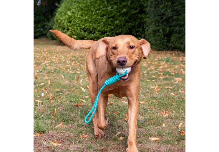 Ancol Chase Floating Ropey Ball Tug