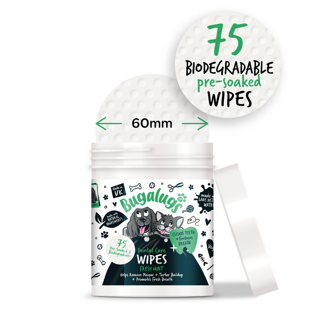 BUGALUGS DENTAL CARE WIPES FRESH MINT 75'S