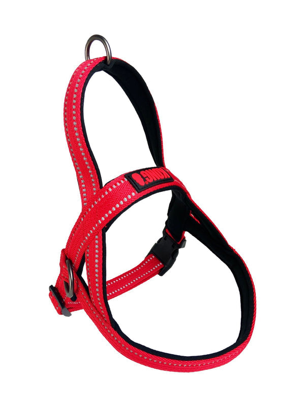 KONG Norwegian Harness Red